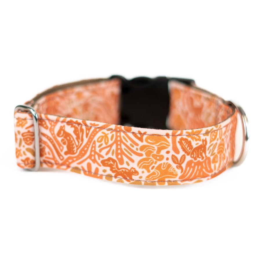 Harvest Squirrel Dog Collar