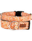 Harvest Squirrel Dog Collar