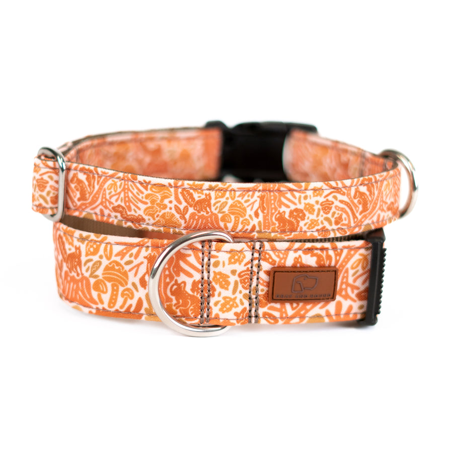 Harvest Squirrel Dog Collar