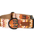 Elements in Brown Dog Collar