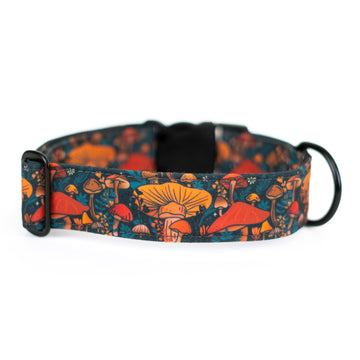 Midnight Mushroom Dog Collar