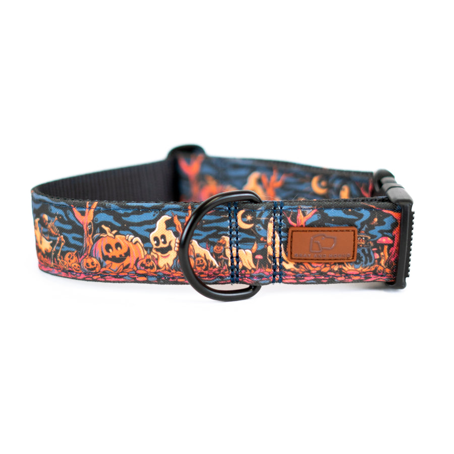 Haunted Hounds Dog Collar Special Edition [ready to ship]