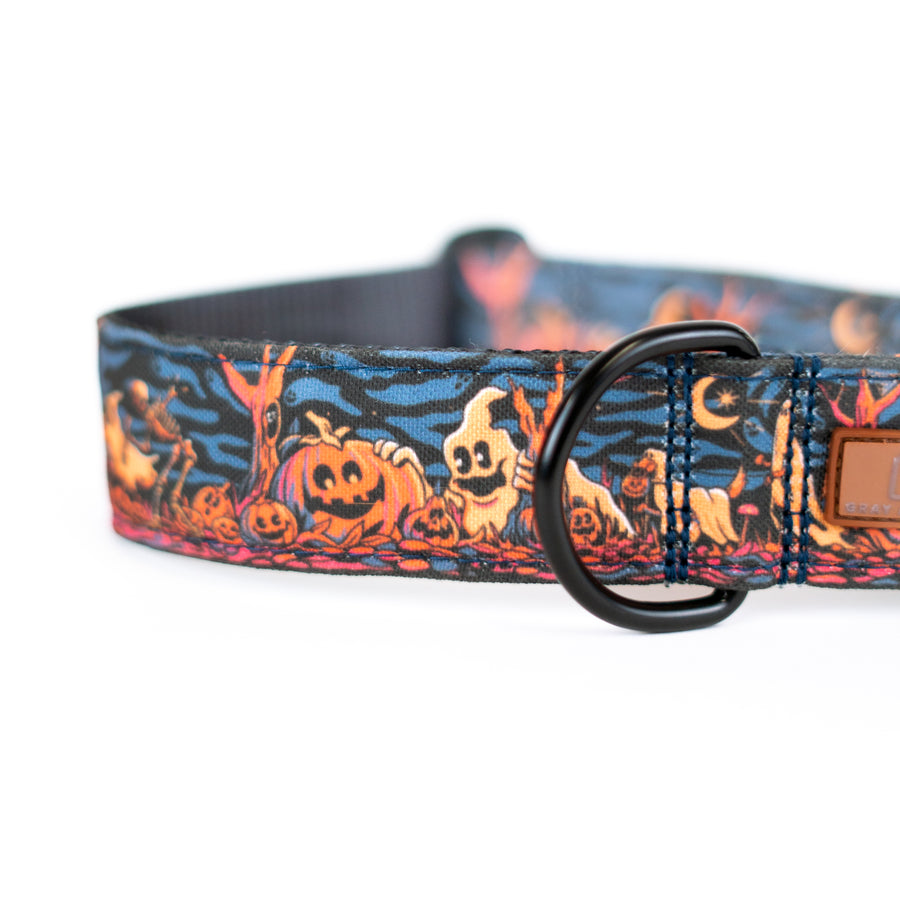 Haunted Hounds Dog Collar Special Edition [ready to ship]