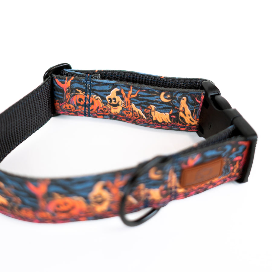 Haunted Hounds Dog Collar Special Edition [ready to ship]