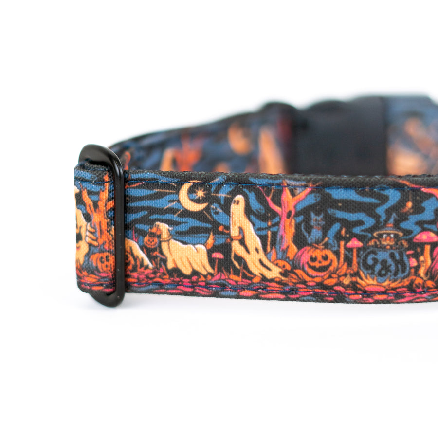 Haunted Hounds Dog Collar [Special Edition Artist Series]