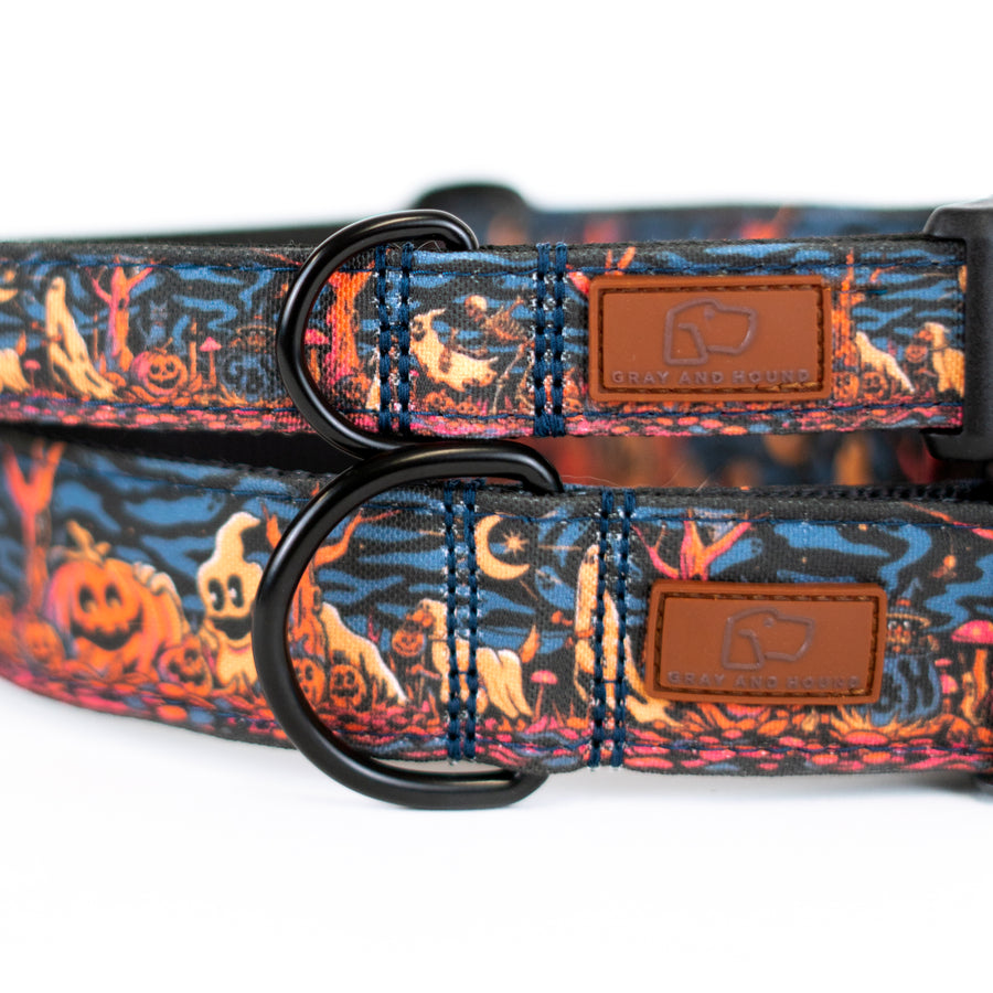 Haunted Hounds Dog Collar [Special Edition Artist Series]