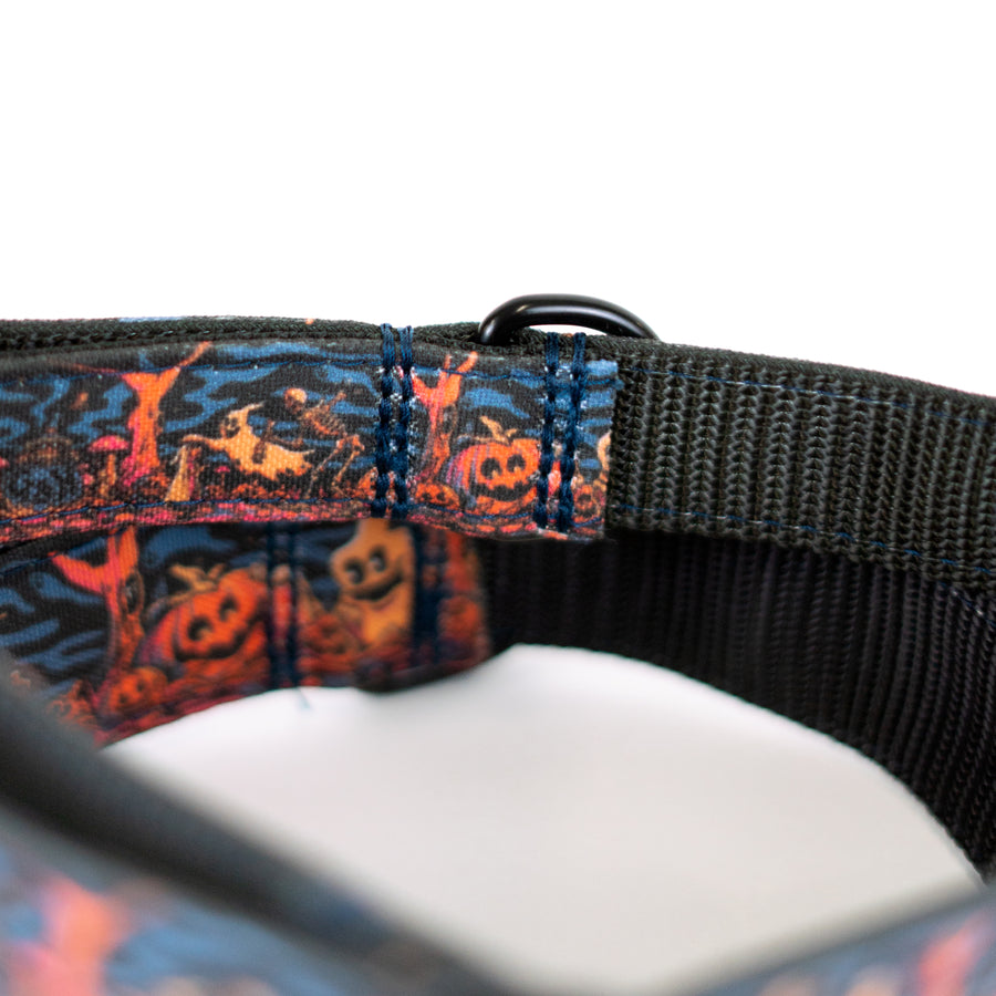 Haunted Hounds Dog Collar Special Edition [ready to ship]