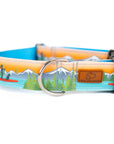 Paddle Board Dog Collar