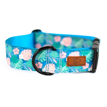 Hawaiian Monstera Dog Collar