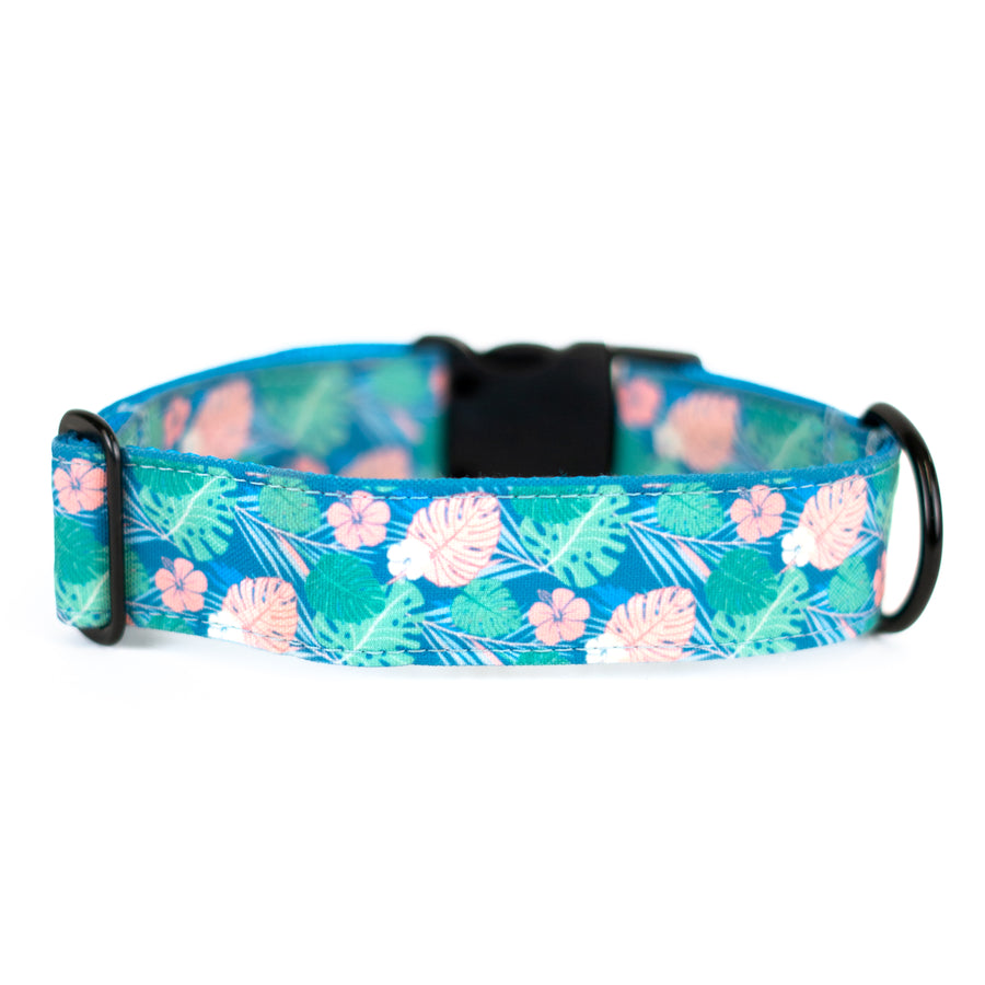 Hawaiian Monstera Dog Collar