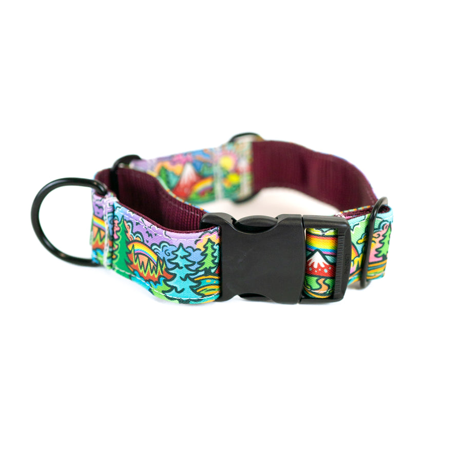 Rainbow Ridge Hybrid Martingale Dog Collar | Limited Artist Series