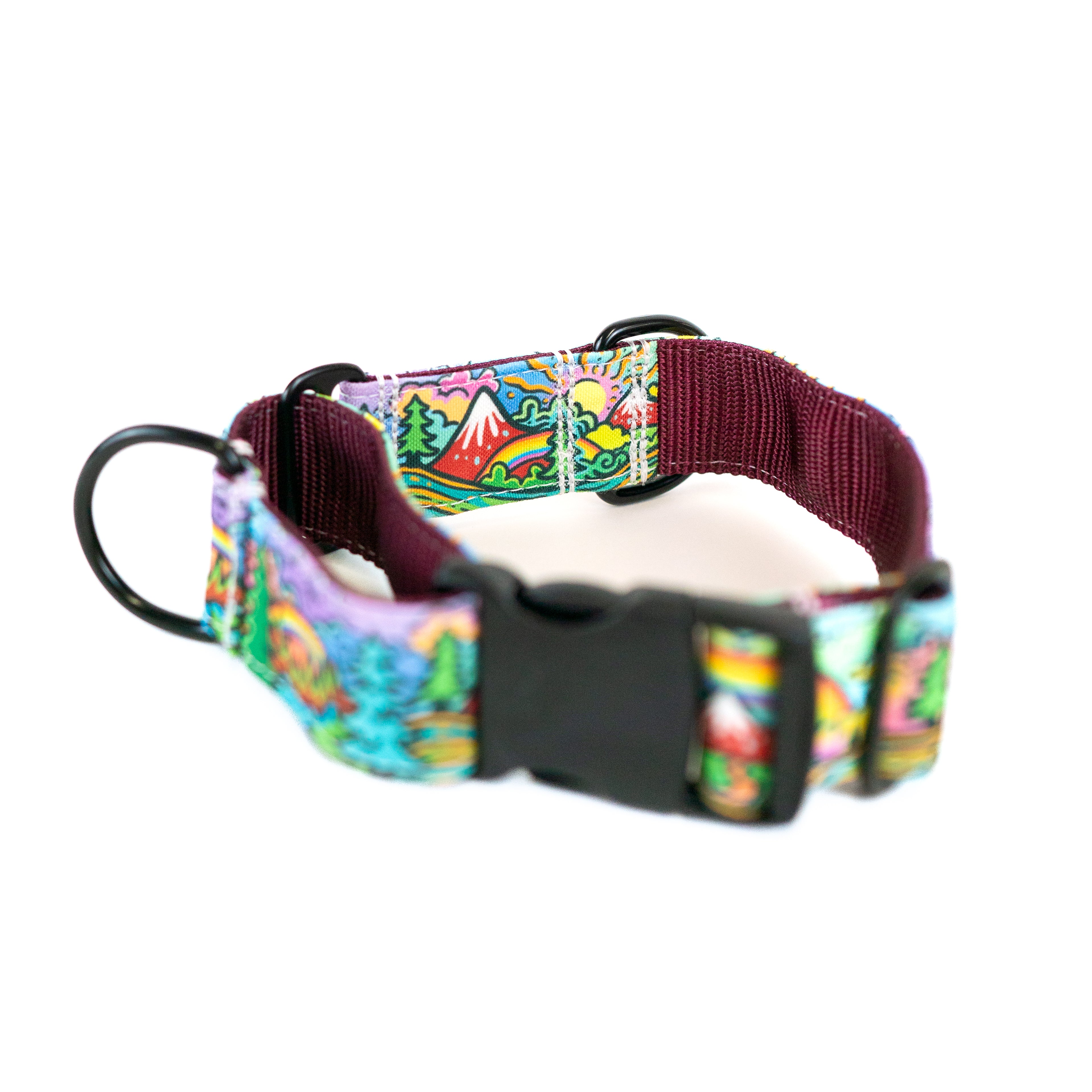 Rainbow Ridge Hybrid Martingale Dog Collar | Limited Artist Series