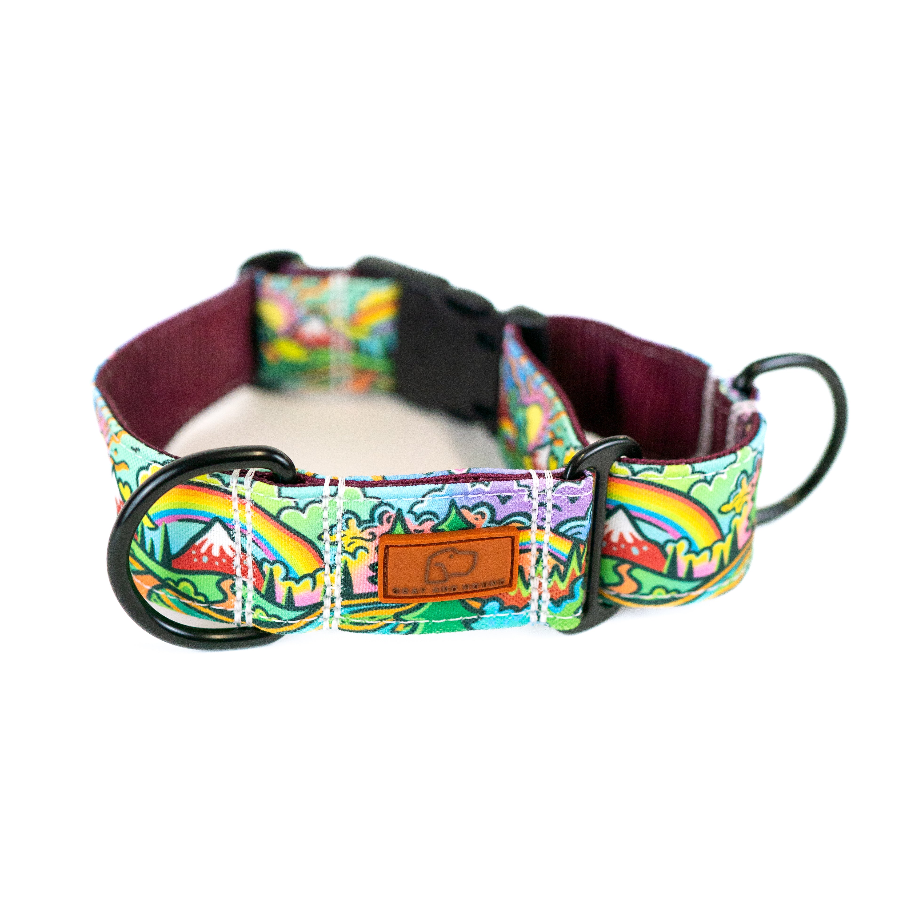 Rainbow Ridge Hybrid Martingale Dog Collar | Limited Artist Series