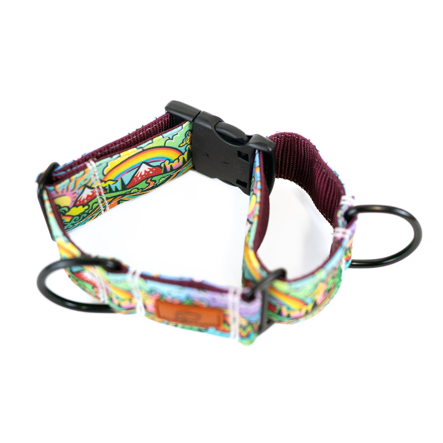Rainbow Ridge Hybrid Martingale Dog Collar | Limited Artist Series