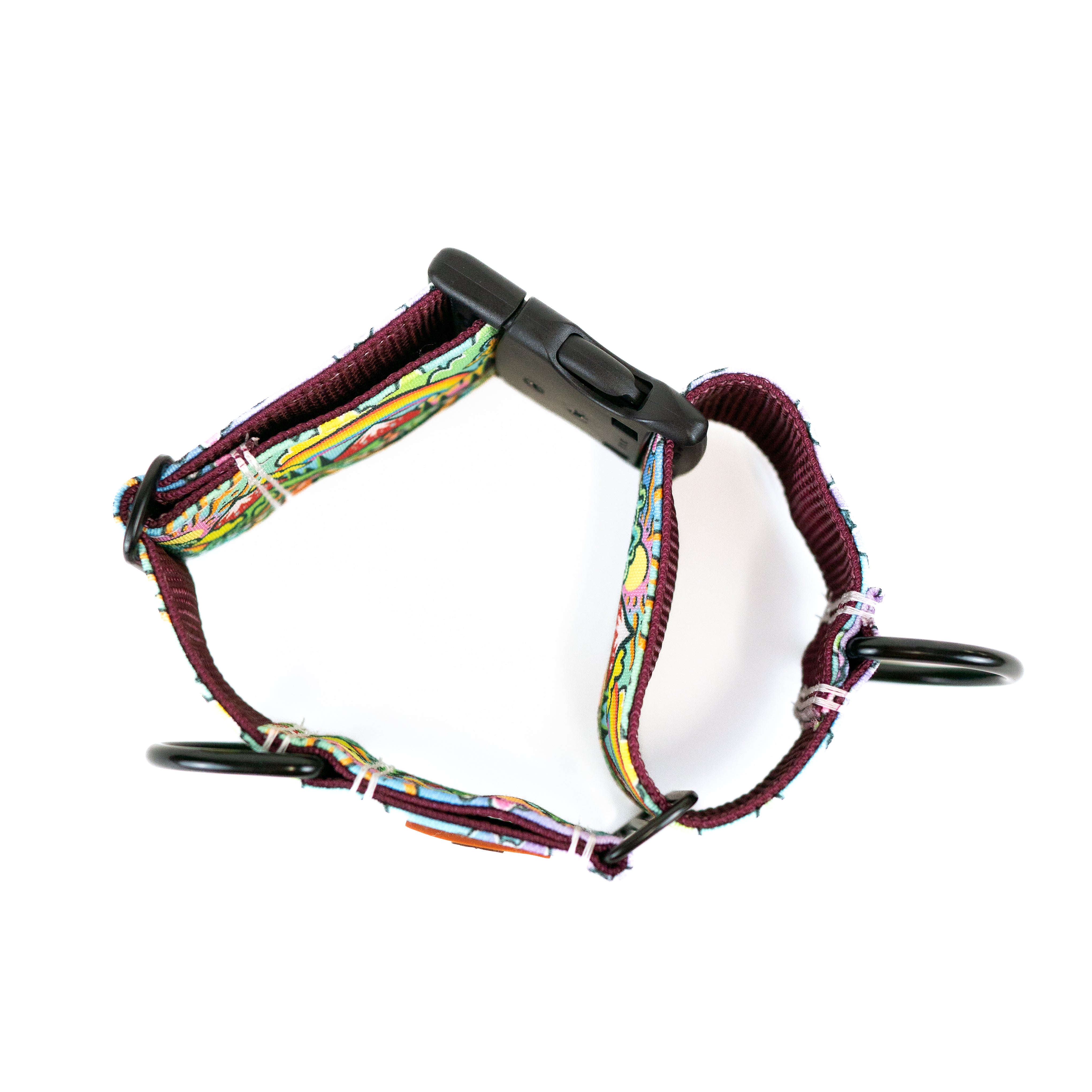 Rainbow Ridge Hybrid Martingale Dog Collar | Limited Artist Series