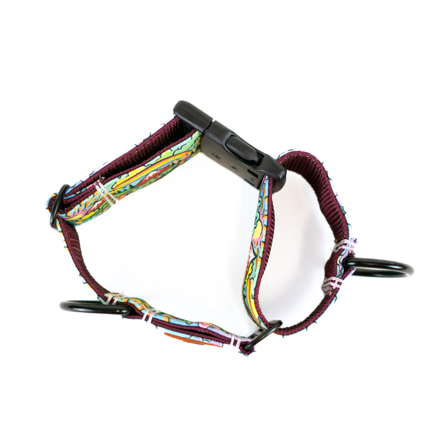Rainbow Ridge Hybrid Martingale Dog Collar | Limited Artist Series