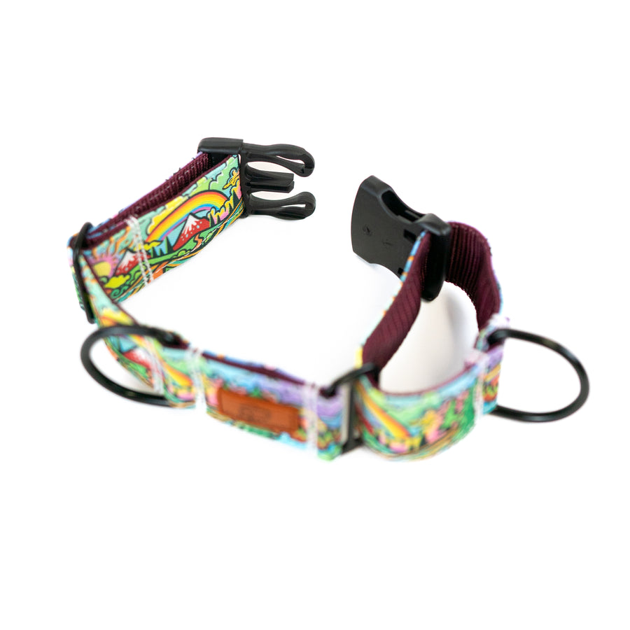 Hybrid Martingale Dog Collar (all designs)