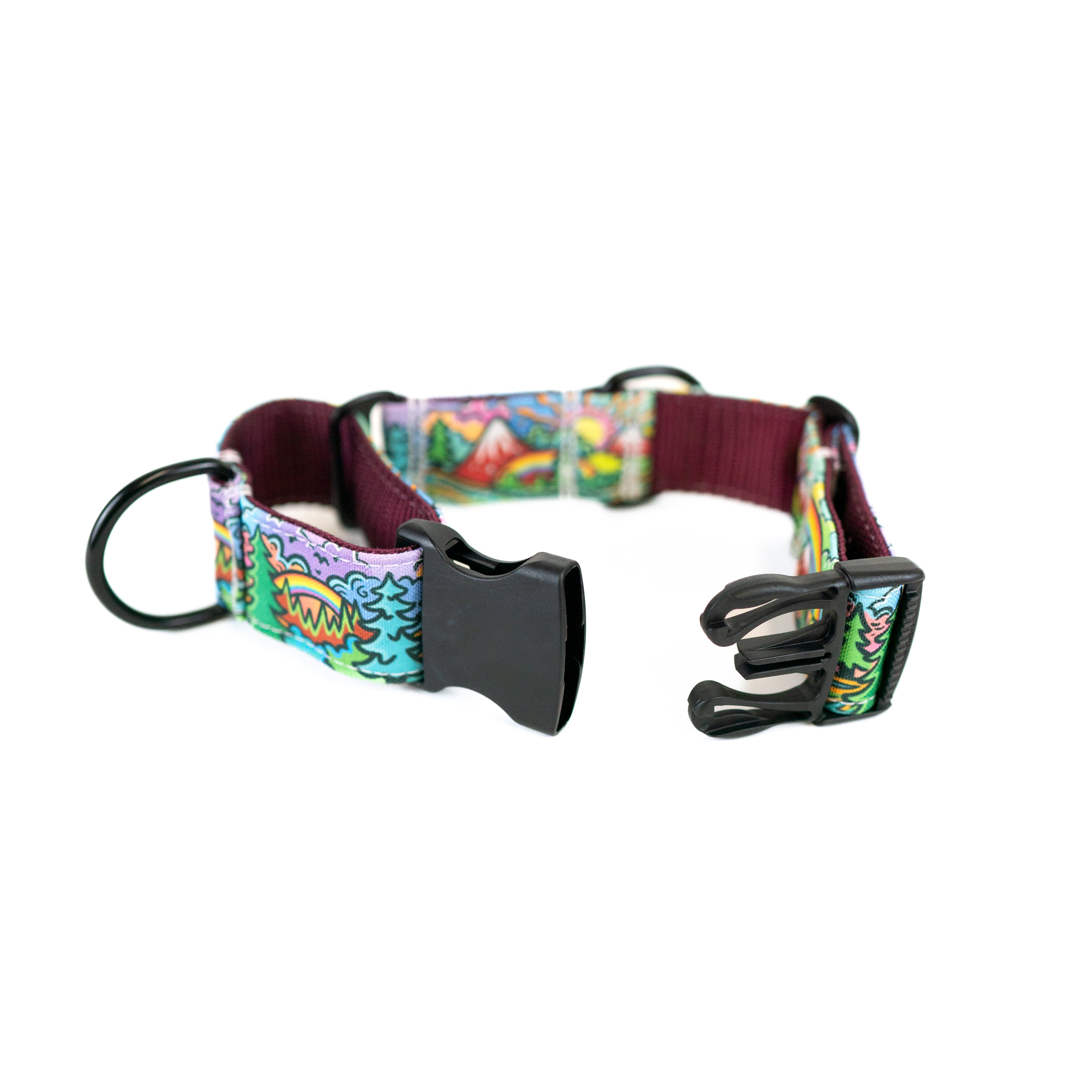 Rainbow Ridge Hybrid Martingale Dog Collar | Limited Artist Series