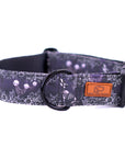 Spooky Nights Dog Collar