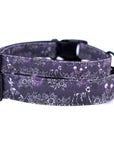 Spooky Nights Dog Collar