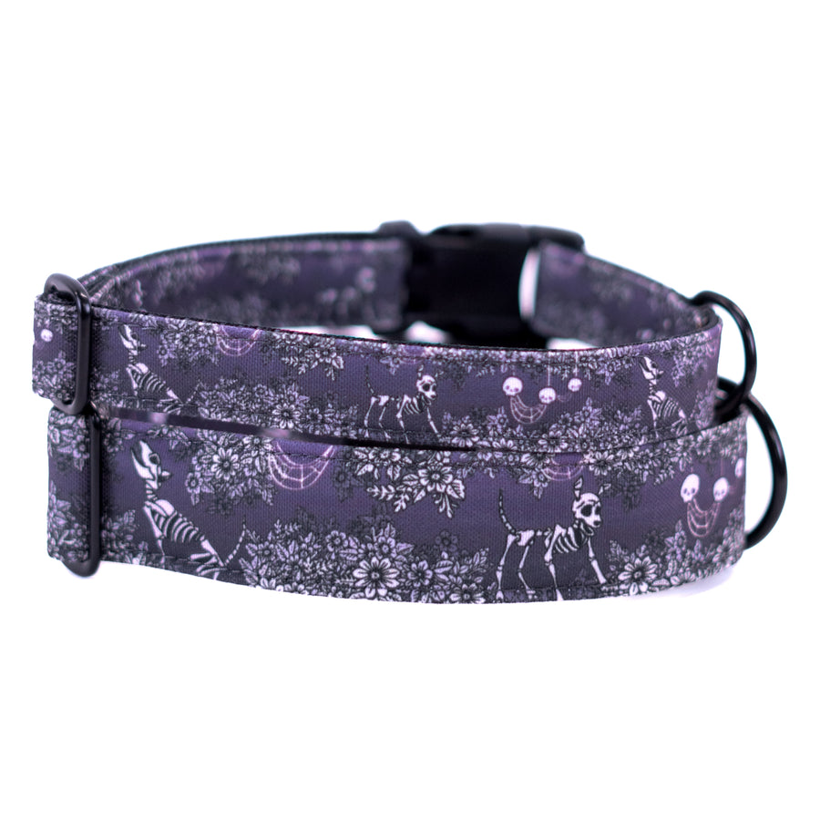 Spooky Nights Dog Collar