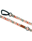 Stroll Dog Leash [pick your design]