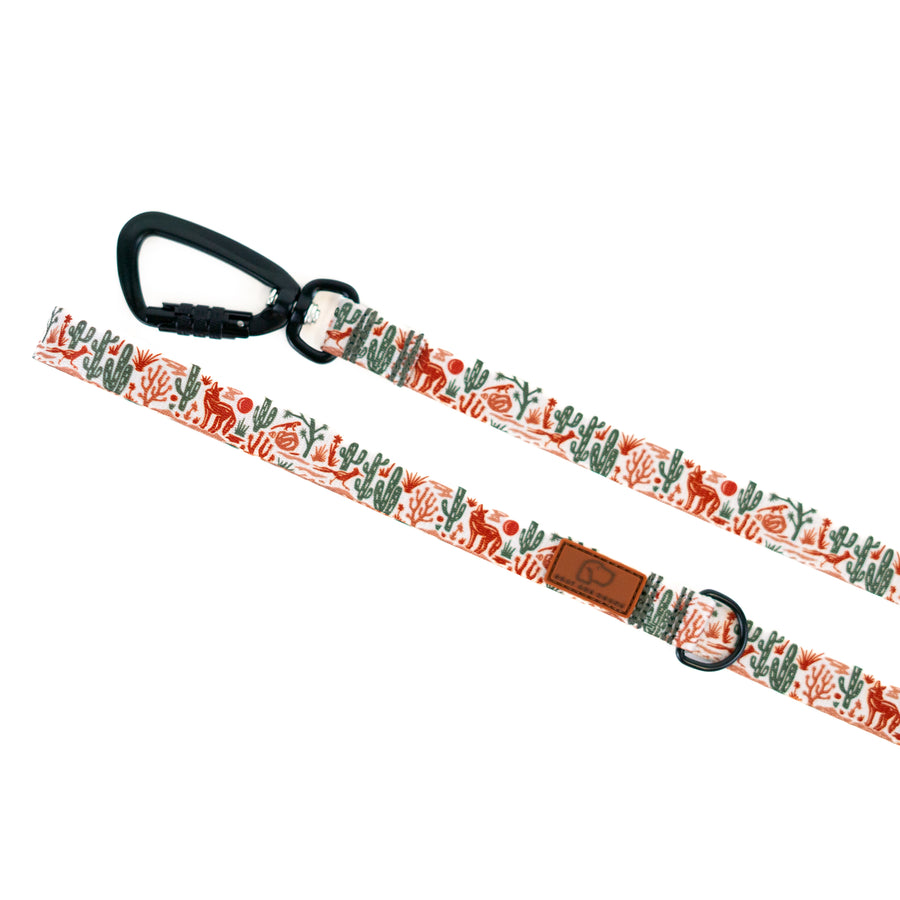 Stroll Dog Leash [pick your design]