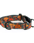 Hybrid Martingale Dog Collar (all designs)