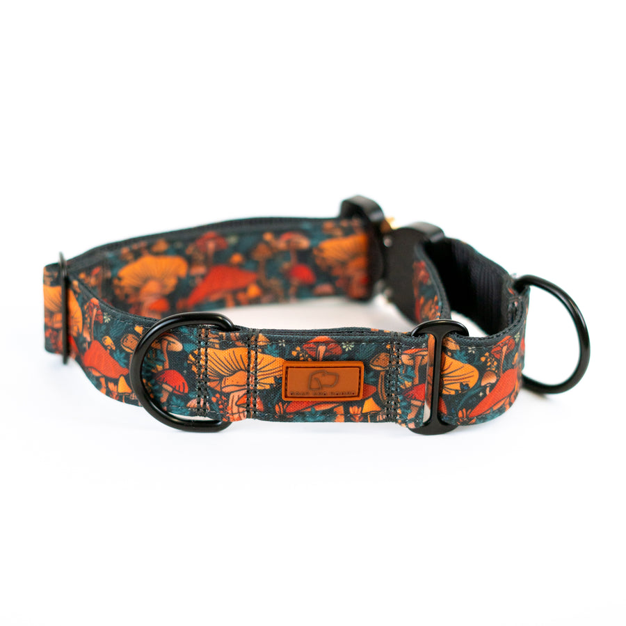 Hybrid Martingale Dog Collar (all designs)