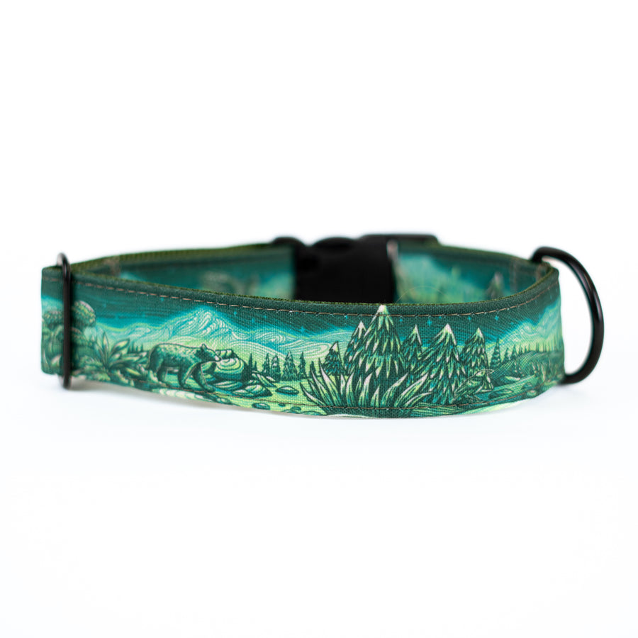 Enchantments in Green Dog Collar [Limited Edition Artist Series]