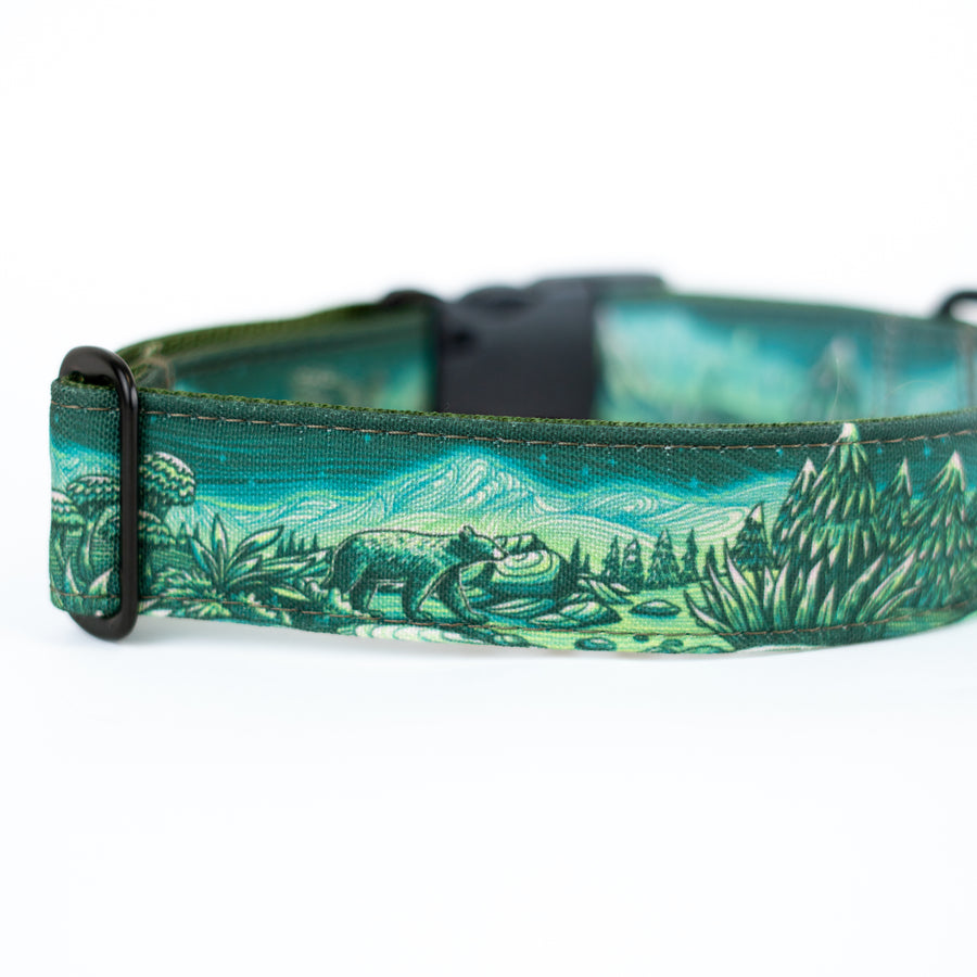 Enchantments in Green Dog Collar [Limited Edition Artist Series]