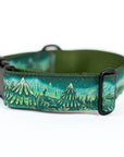 Enchantments in Green Dog Collar [Limited Edition Artist Series]