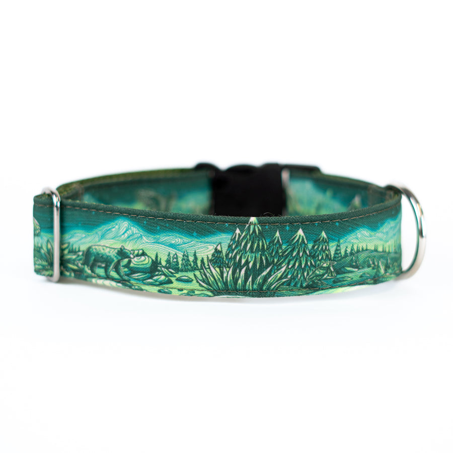 Enchantments in Green Dog Collar [Limited Edition Artist Series]