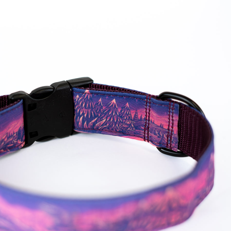 Enchantments in Purple Dog Collar [Limited Edition Artist Series]