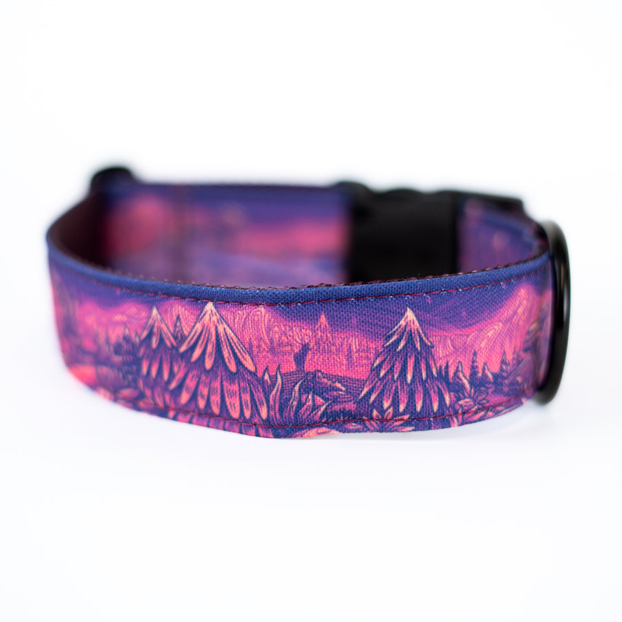 Enchantments in Purple Dog Collar [Limited Edition Artist Series]