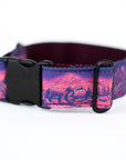 Enchantments in Purple Dog Collar [Limited Edition Artist Series]