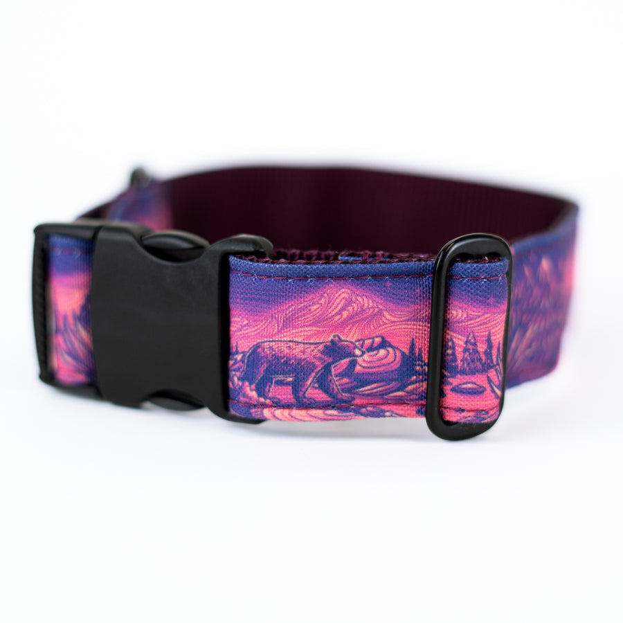 Enchantments in Purple Dog Collar [Limited Edition Artist Series]