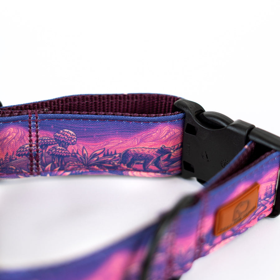 Enchantments in Purple Dog Collar [Limited Edition Artist Series]