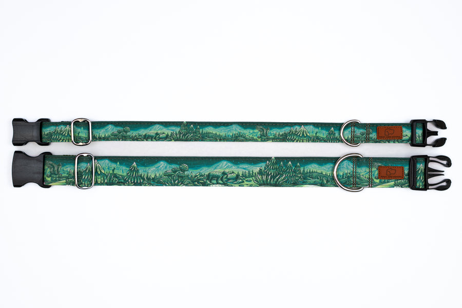 Enchantments in Green Dog Collar [Limited Edition Artist Series]