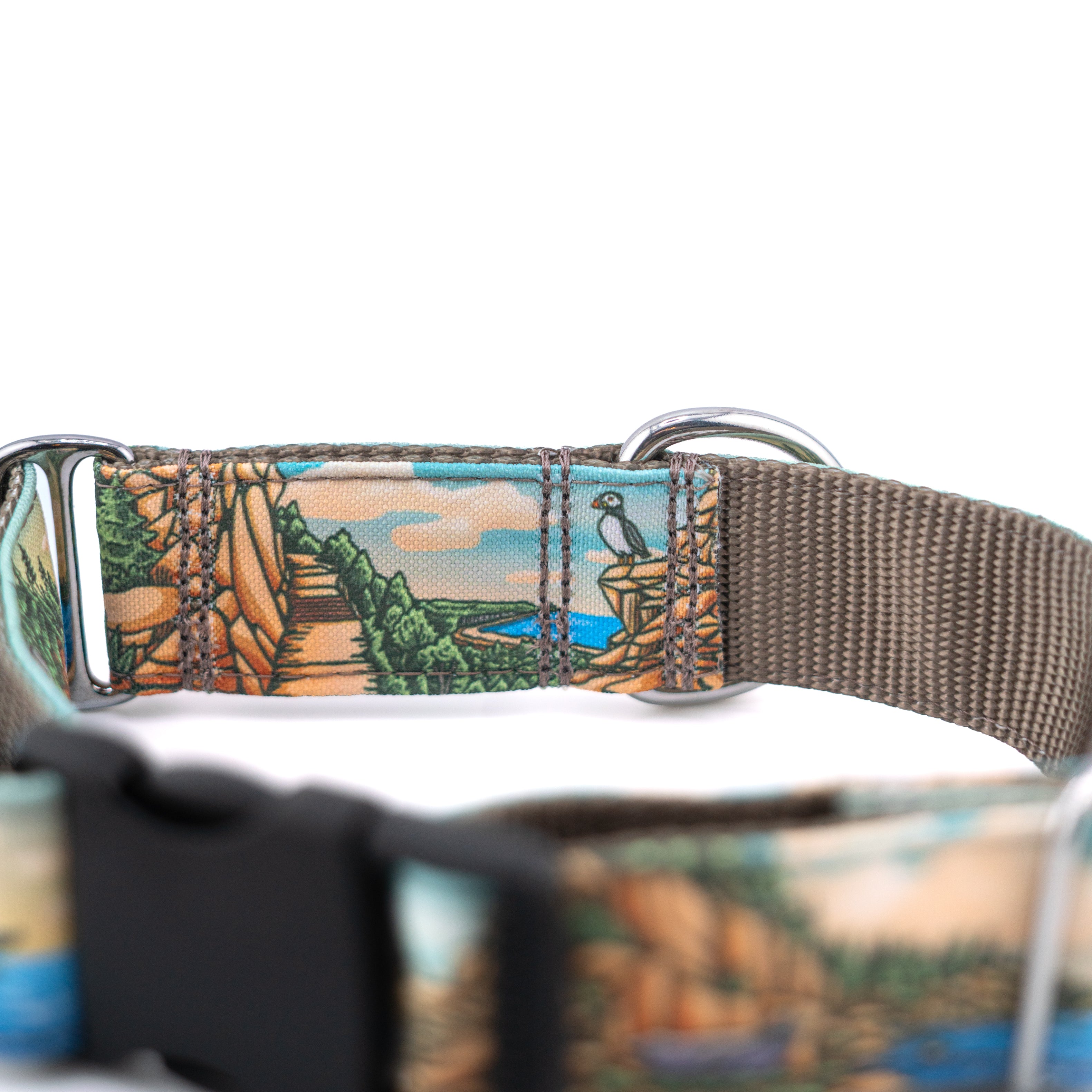 Acadia Parkside Buckle-On Martingale Collar