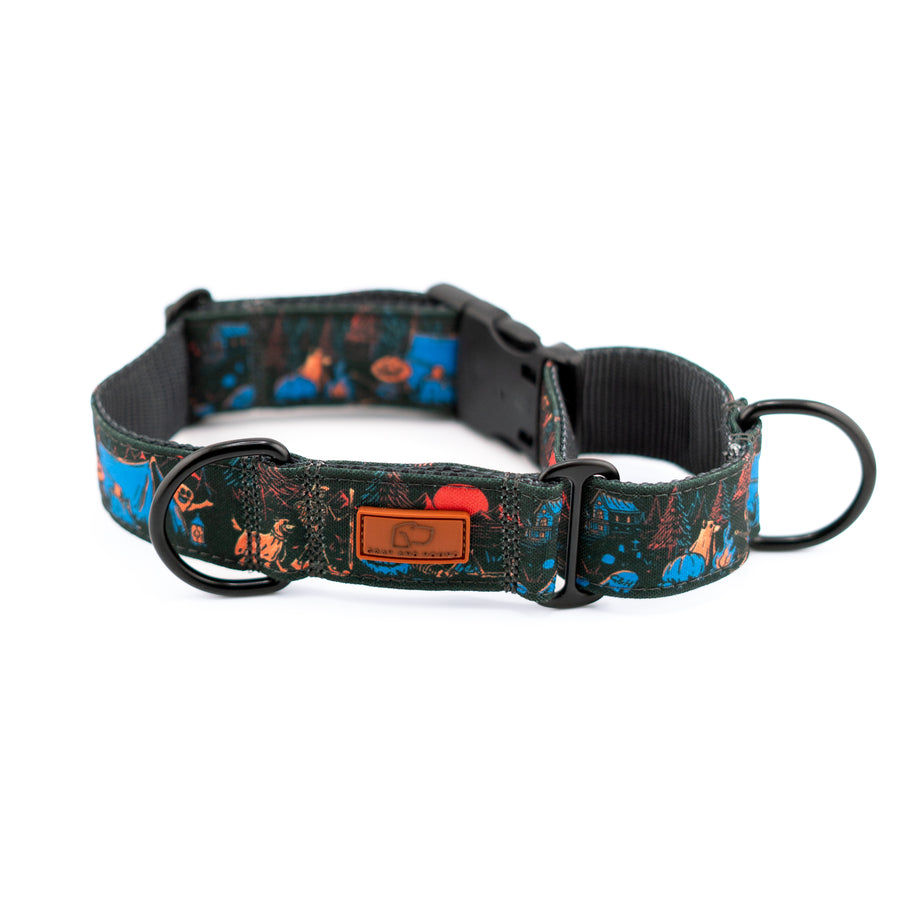 Camp Hollow Hybrid Martingale Dog Collar | Limited Artist Series