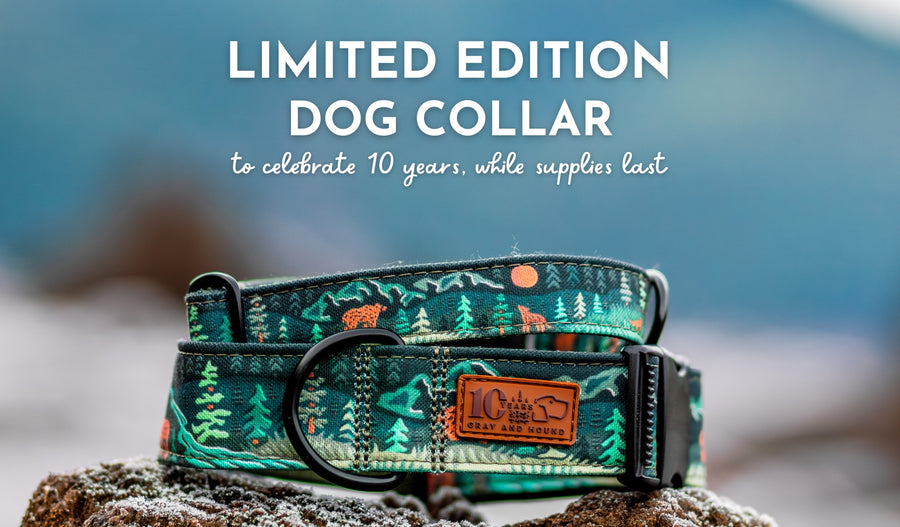 Gray and Hound The Best Outdoor Dog Collars and Leashes GrayandHound
