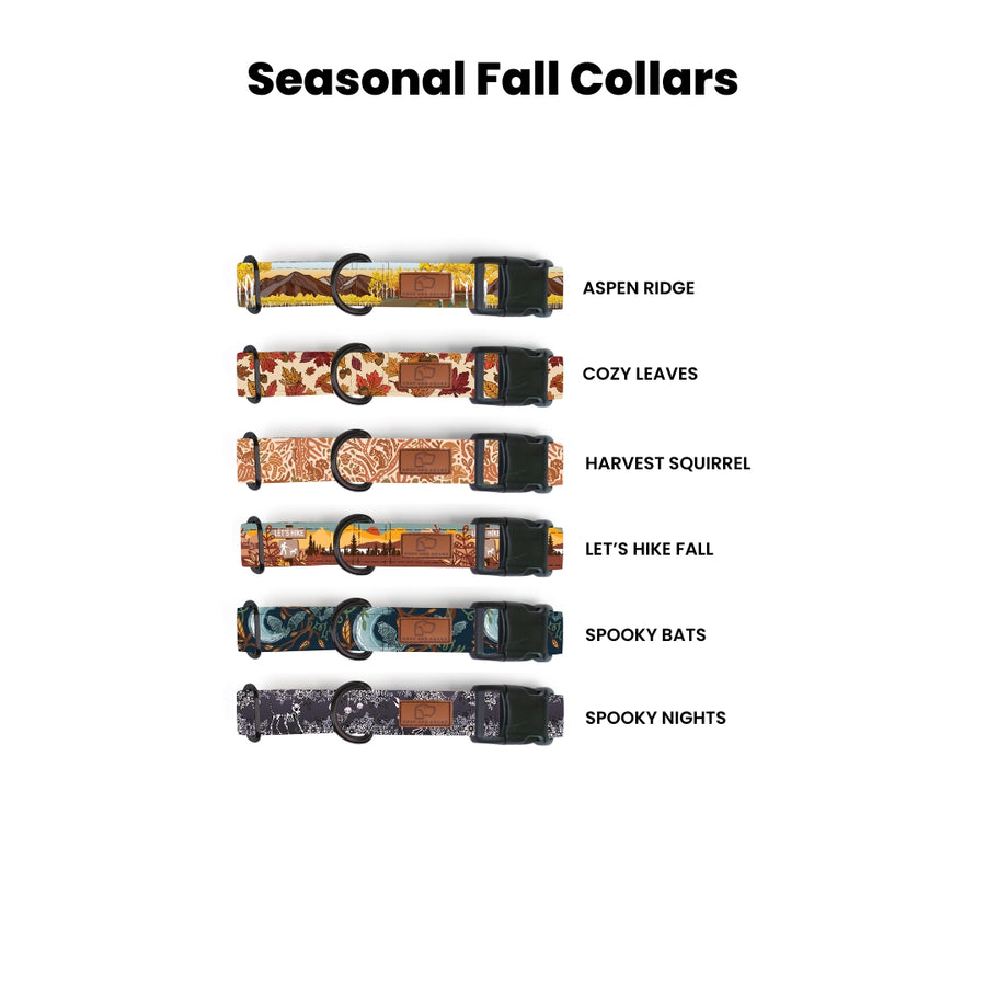 Plastic Buckle Dog Collar Two Pack (choose your designs)