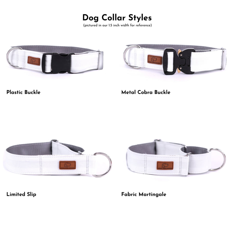 Apricot Dog Collar