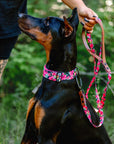 Hibiscus Dog Leash