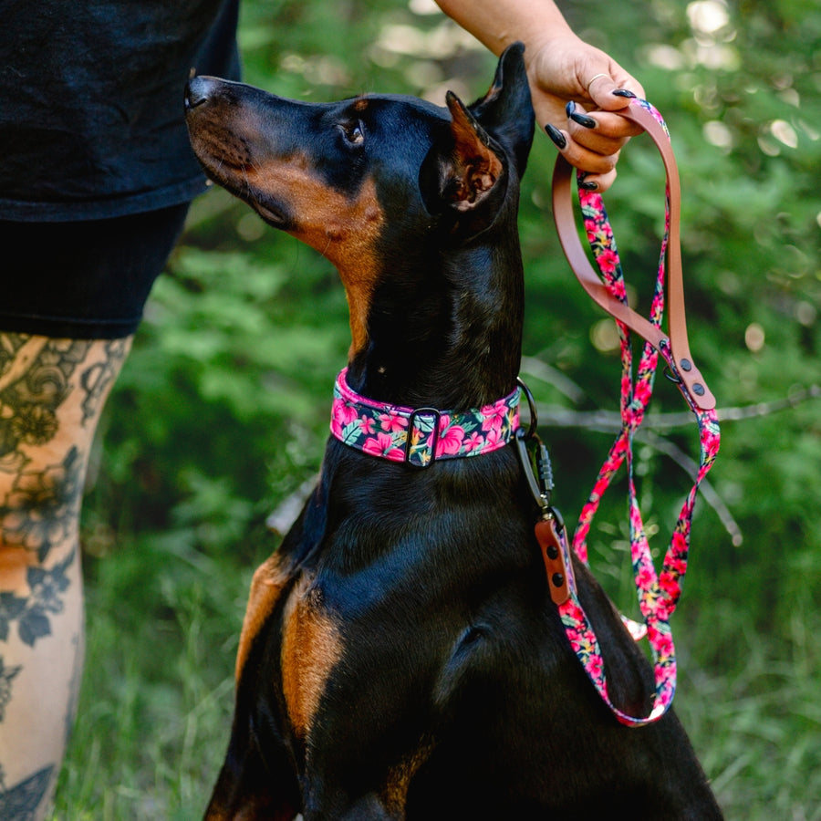 Hibiscus Dog Leash