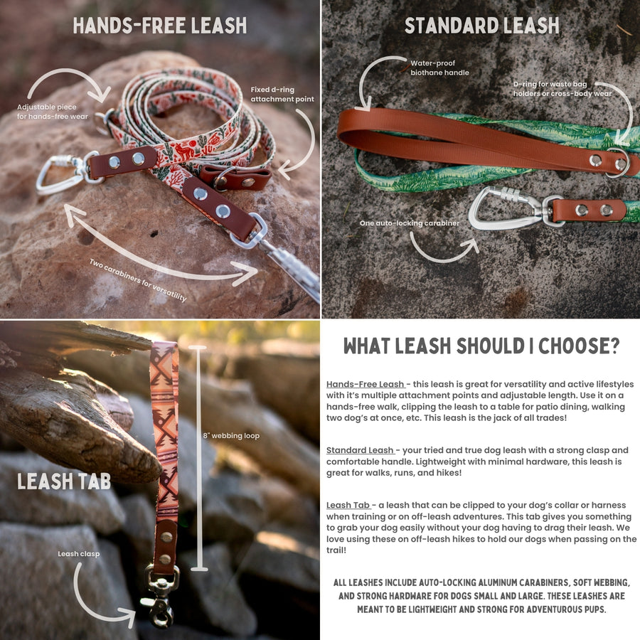 Sedona Geo Dog Leash