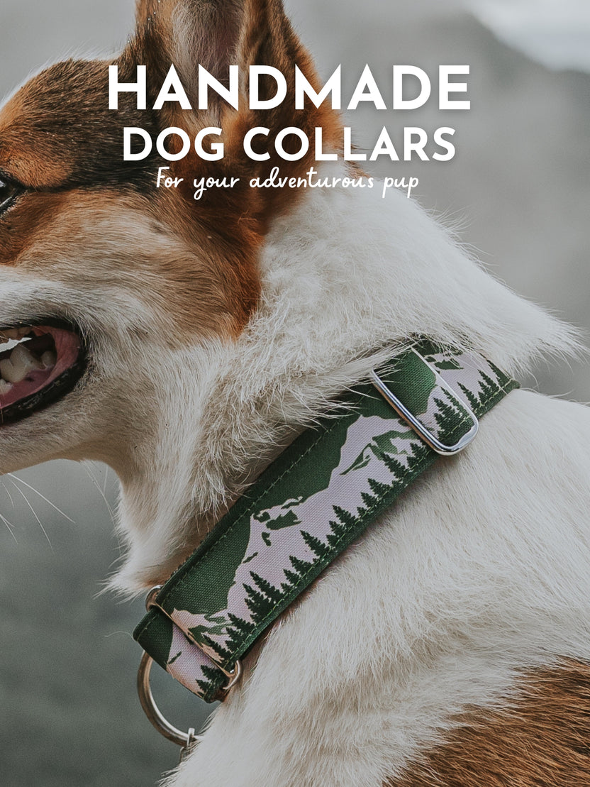 Gray and Hound The Best Outdoor Dog Collars and Leashes GrayandHound