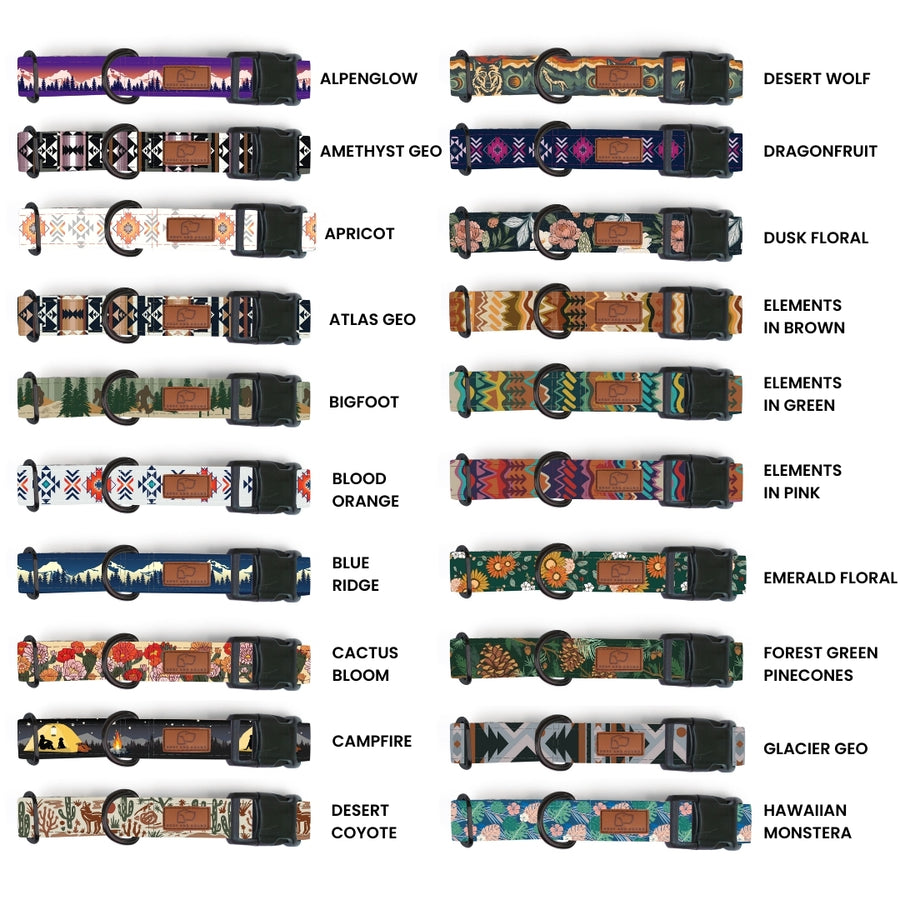 Plastic Buckle Dog Collar Three Pack (choose your designs)