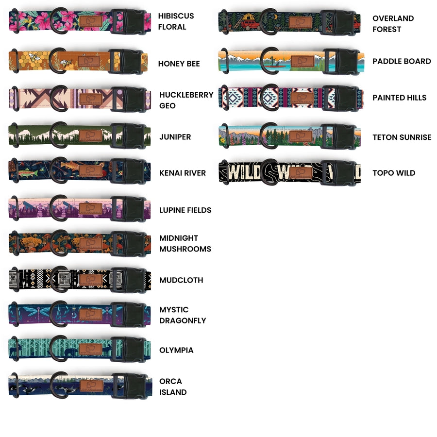 Plastic Buckle Dog Collar Two Pack (choose your designs)